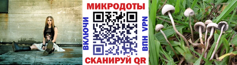 Галлюциногенные грибы GOLDEN TEACHER  Боровичи 